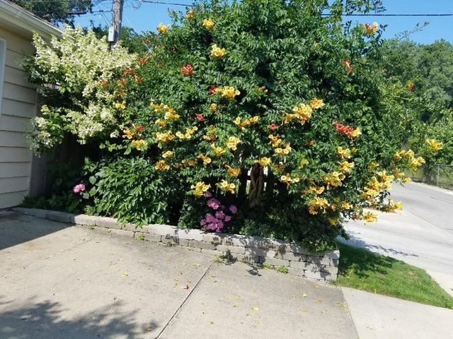 7742 Kolmar Avenue, Skokie, IL 60076