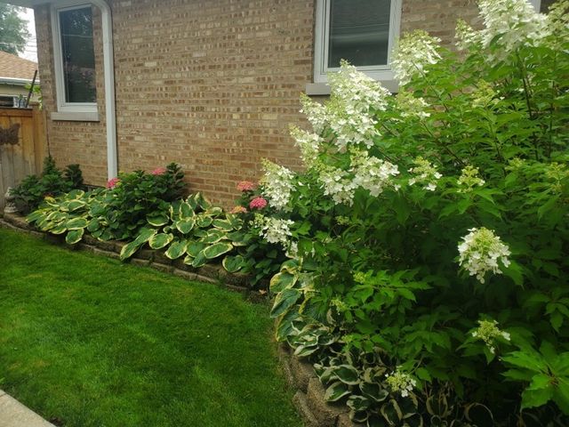 7742 Kolmar Avenue, Skokie, IL 60076