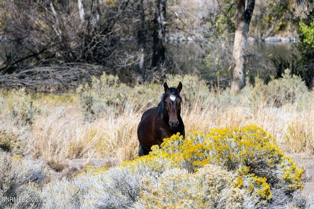 1088 McCarran Ranch Road, Sparks, NV 89434
