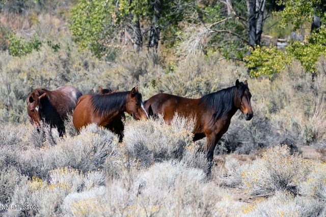 1088 McCarran Ranch Road, Sparks, NV 89434