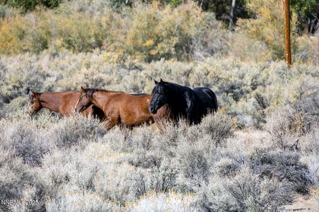 1088 McCarran Ranch Road, Sparks, NV 89434