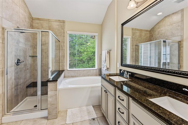 228 Cheswood Forest Place, Montgomery, TX 77316