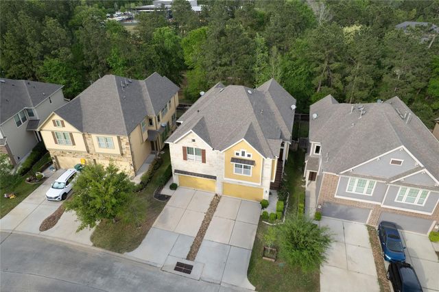 228 Cheswood Forest Place, Montgomery, TX 77316