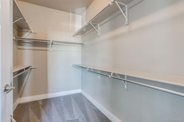 3219 Spruce Street, Denver, CO 80238