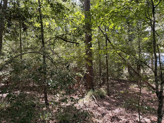 13 Quailcrest, Livingston, TX 77351
