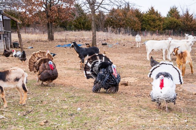 53390 N 35800 Road, Maramec Twp, OK 74045