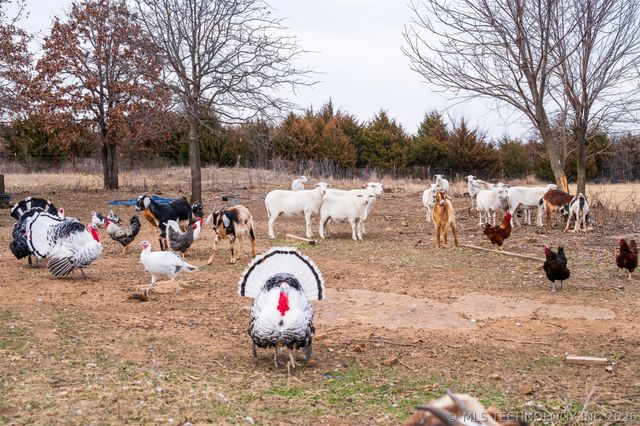 53390 N 35800 Road, Maramec Twp, OK 74045