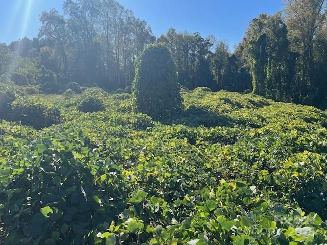 1473 Filbert Highway, York, SC 29745