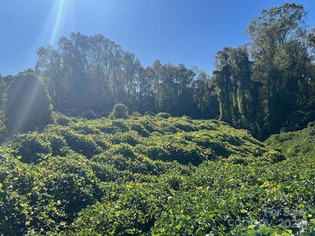 1473 Filbert Highway, York, SC 29745