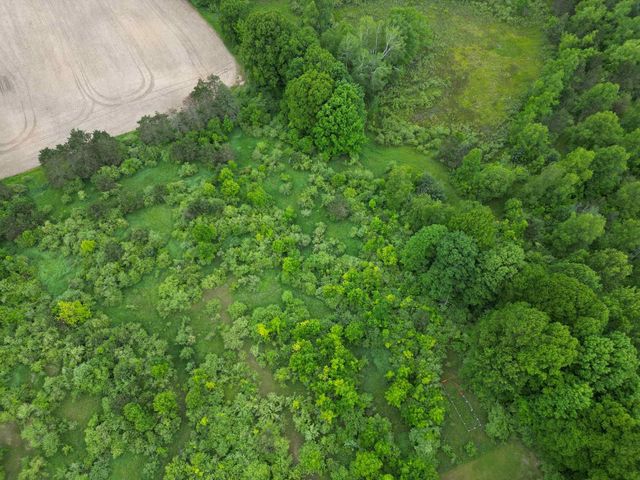 TBD Juniper Drive, Farwell, MI 48622