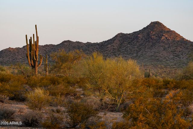 31321 N Crown King Lane, Queen Creek, AZ 85144