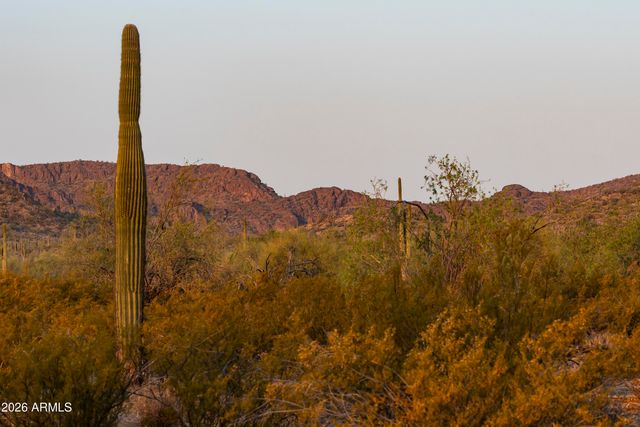 31321 N Crown King Lane, Queen Creek, AZ 85144