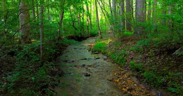 0 Nocona Trail, Ellijay, GA 30536