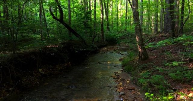 0 Nocona Trail, Ellijay, GA 30536