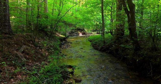 0 Nocona Trail, Ellijay, GA 30536