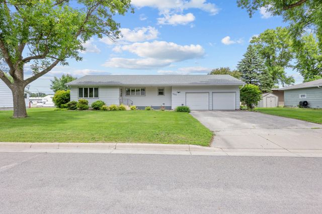 226 Ash Avenue, Bird Island, MN 55310