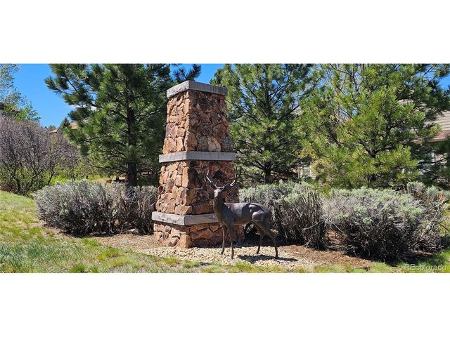2212 Ridgetrail Dr, Castle Rock, CO 80104