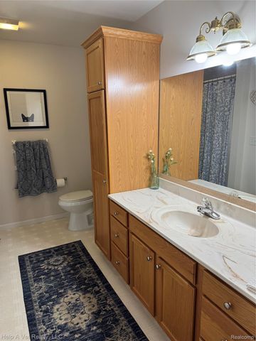 170 Creekwood Circle 43, Linden, MI 48451