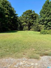 HIGHWAY 46, Heflin, AL 36264