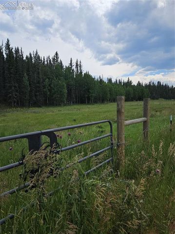 702 Lake Drive, Divide, CO 80814