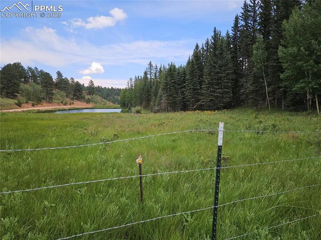 702 Lake Drive, Divide, CO 80814