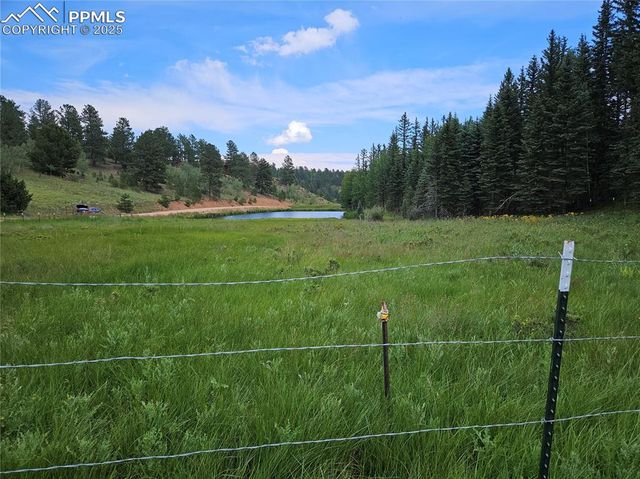 702 Lake Drive, Divide, CO 80814