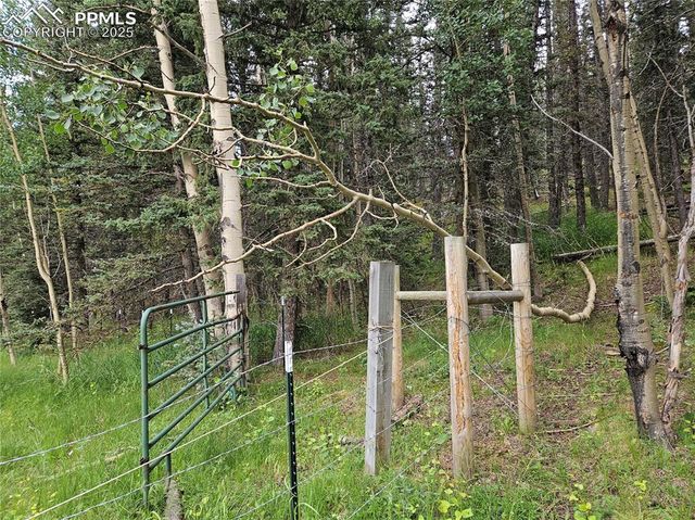 702 Lake Drive, Divide, CO 80814