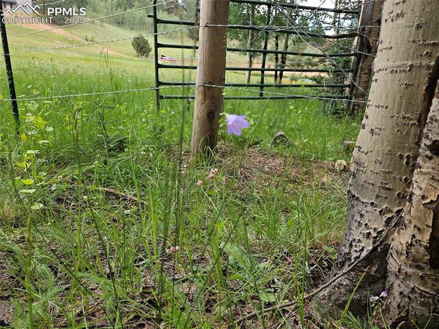 702 Lake Drive, Divide, CO 80814