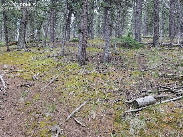 702 Lake Drive, Divide, CO 80814