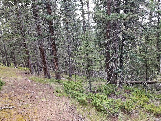 702 Lake Drive, Divide, CO 80814