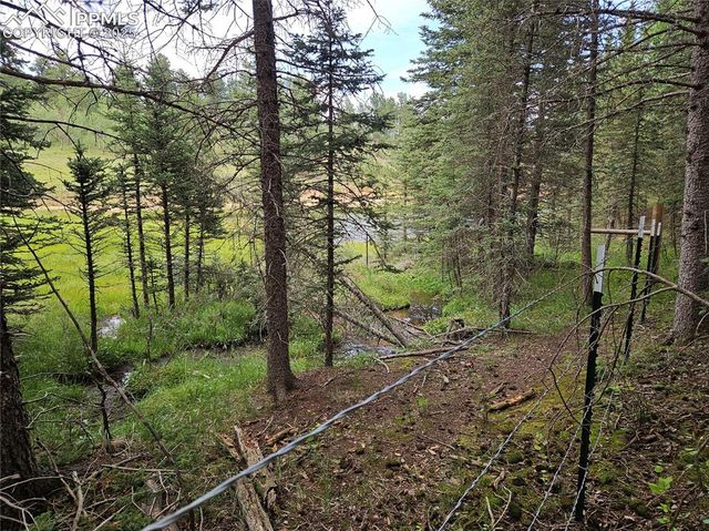 702 Lake Drive, Divide, CO 80814