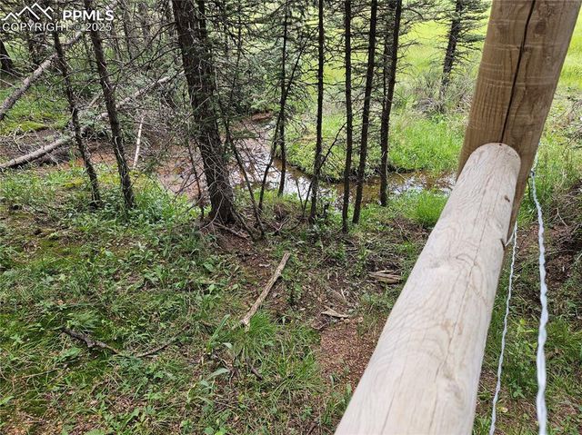 702 Lake Drive, Divide, CO 80814