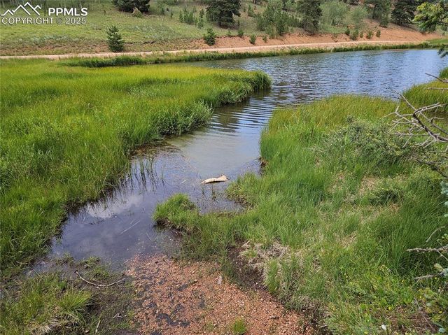 702 Lake Drive, Divide, CO 80814