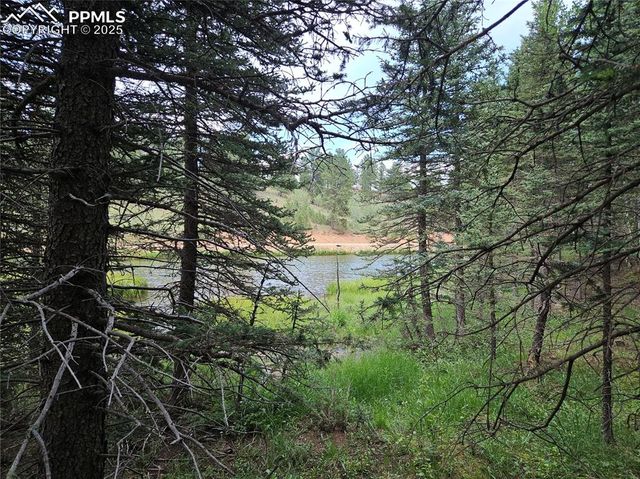 702 Lake Drive, Divide, CO 80814