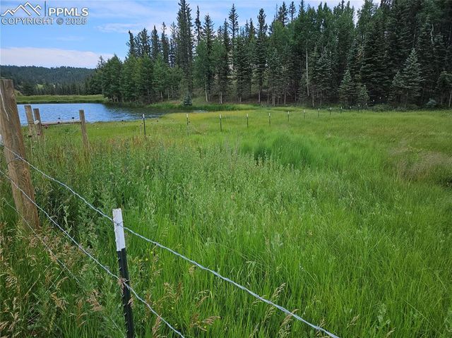 702 Lake Drive, Divide, CO 80814