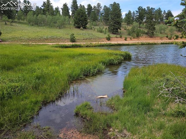 702 Lake Drive, Divide, CO 80814