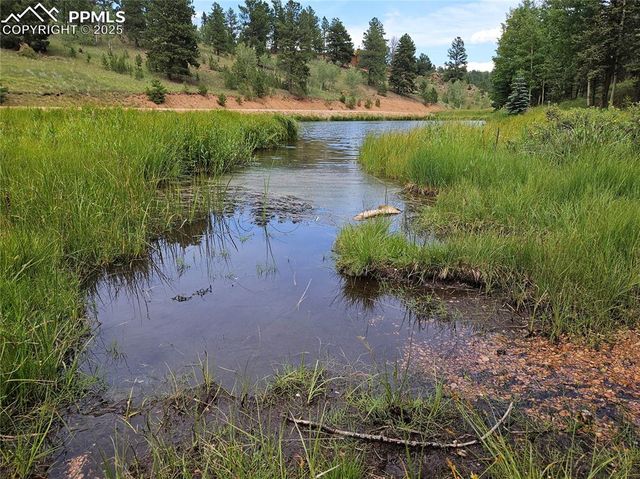 702 Lake Drive, Divide, CO 80814