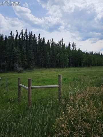 702 Lake Drive, Divide, CO 80814