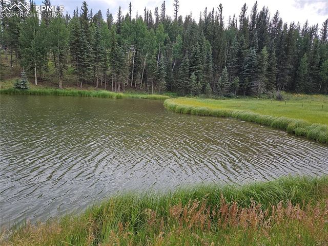 702 Lake Drive, Divide, CO 80814