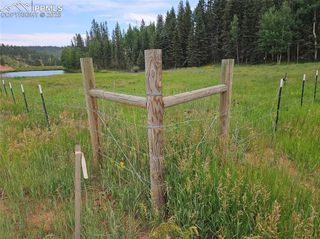 702 Lake Drive, Divide, CO 80814
