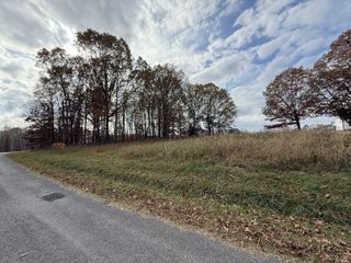 0 Cotton Ln, Leoma, TN 38468
