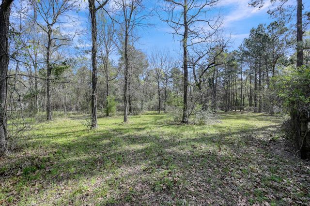 130 Cedar Court, Magnolia, TX 77355