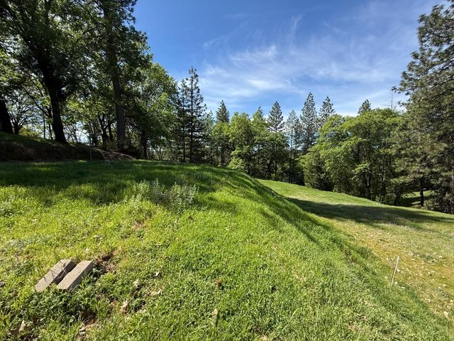 3717 N Railroad Flat Rd, Wilseyville, CA 95257
