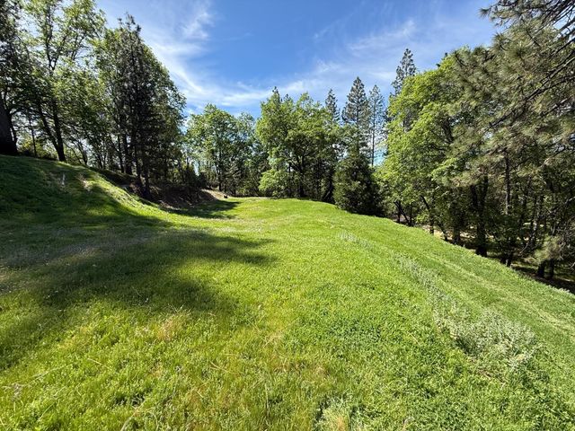 3717 N Railroad Flat Rd, Wilseyville, CA 95257