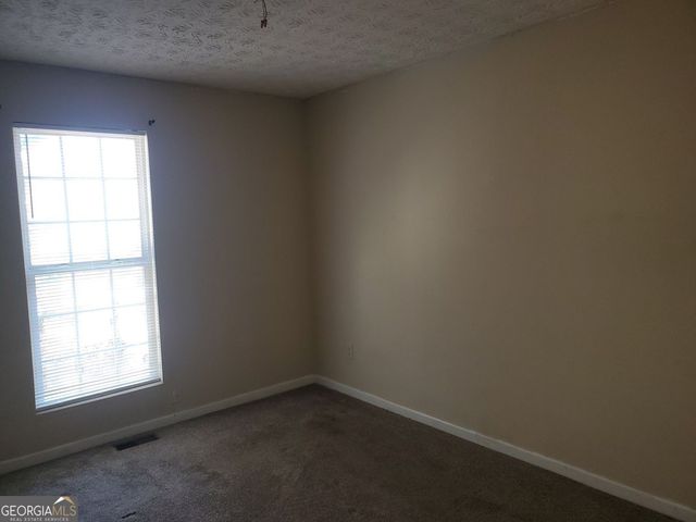 11428 S Grove Drive, Hampton, GA 30228