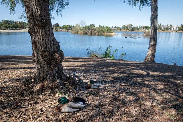 4970 Cherry Avenue 115, San Jose, CA 95118