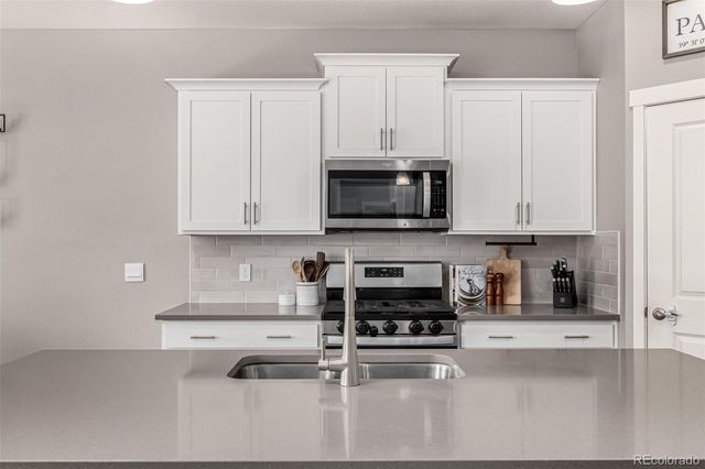 17200 Red Cosmos Point, Parker, CO 80134