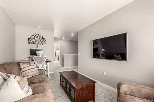 17200 Red Cosmos Point, Parker, CO 80134