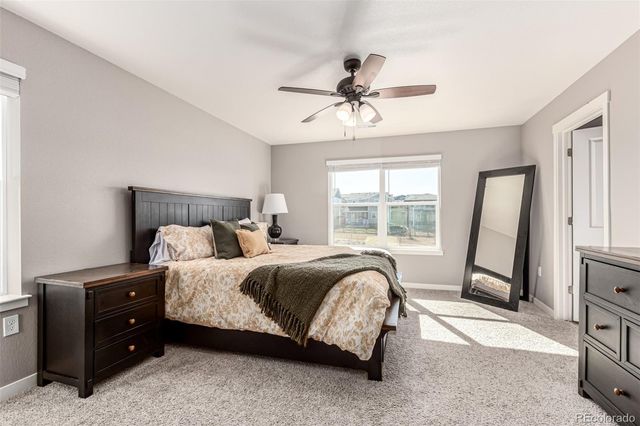 17200 Red Cosmos Point, Parker, CO 80134