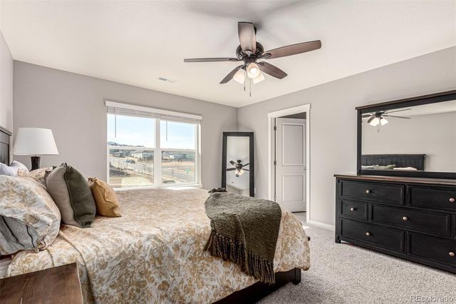 17200 Red Cosmos Point, Parker, CO 80134